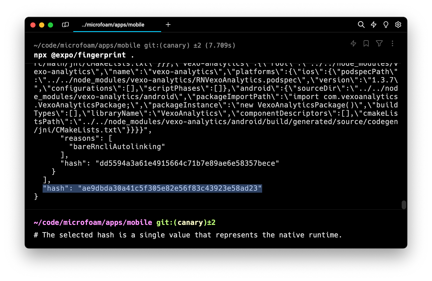 Example of running the @expo/fingerprint CLI